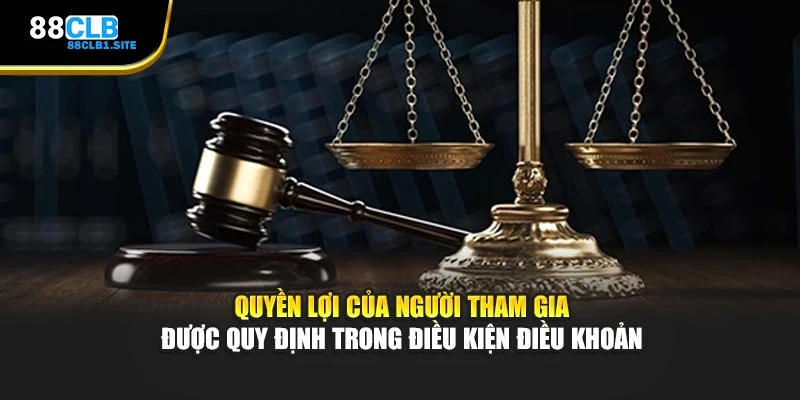 Quyền lợi của người tham gia được quy định trong điều kiện điều khoản