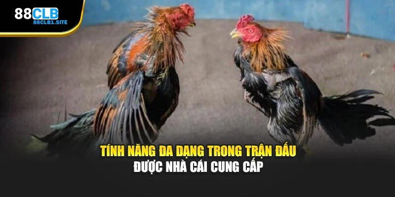 Tính năng đa dạng trong trận đấu được nhà cái cung cấp